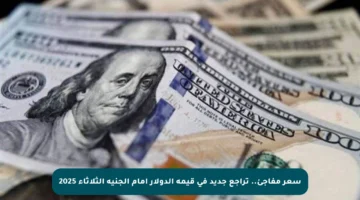 سعر مفاجئ.. تراجع جديد في قيمة الدولار أمام الجنيه الثلاثاء 2025